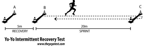 yo yo test procedure